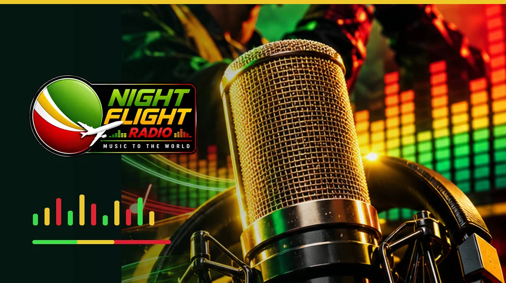 Night Flight Radio New Music Monday visual